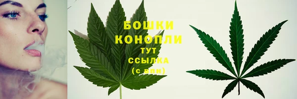 ПСИЛОЦИБИНОВЫЕ ГРИБЫ Лиски