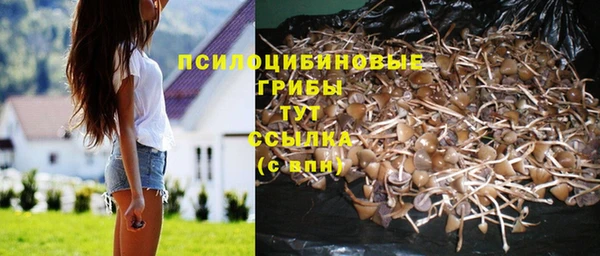 а пвп мука Алексеевка